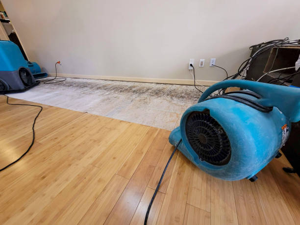Professional Emergency Water Damage technician working in American Canyon, CA